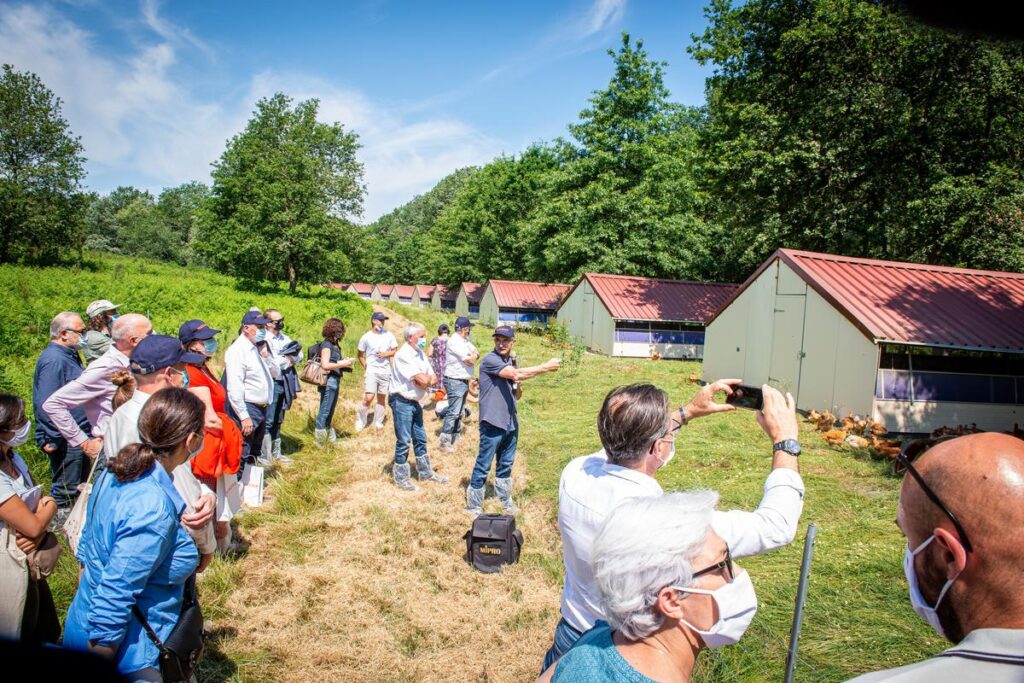 200 potenciales nuevos avicultores asistieron a la presentación y jornada de puertas abiertas organizada por la Cooperativa Maïsadour en la que se presentarón su plan para subvencionar el 40% de los costes de la nueva granja avícola de carne, independientemente de que sea granja industrial de broilers"Plein air" o de "Pollos al aire libre" 