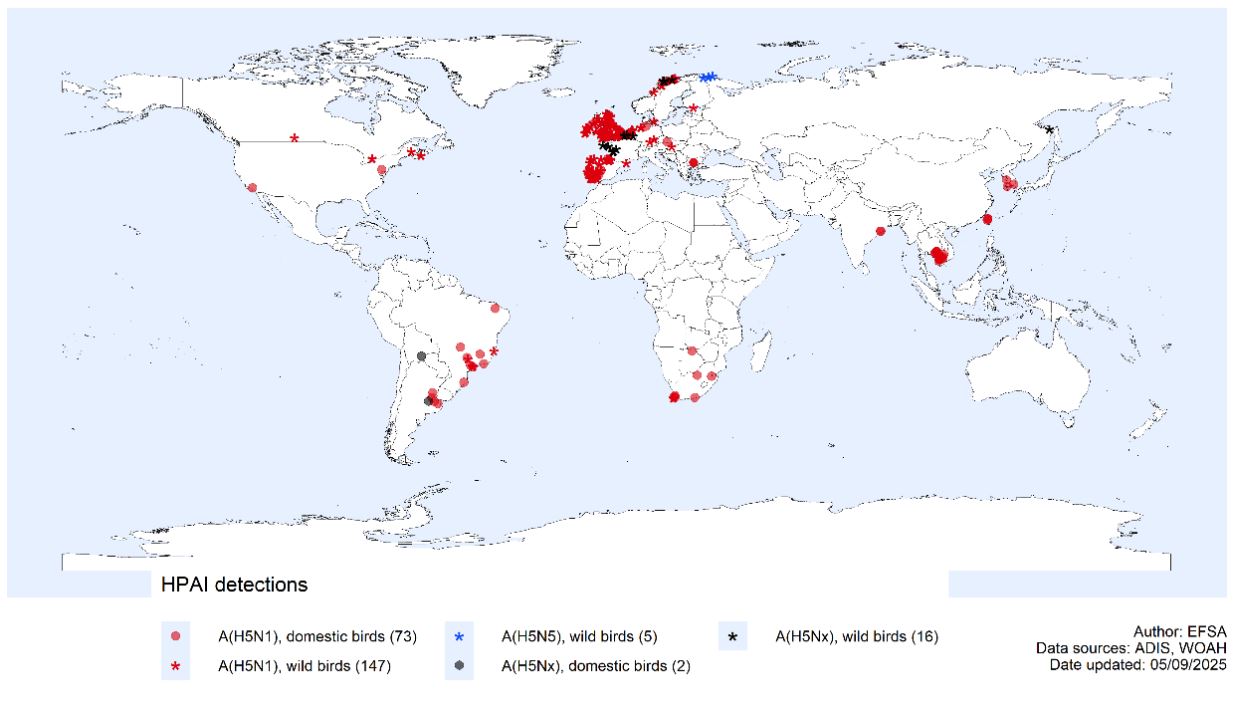 Distribución geográfica, basada en las geocoordenadas disponibles, de las detecciones del virus de IAAP reportadas a nivel mundial en aves domésticas (75) y silvestres (168) según el tipo de virus, del 7 de junio al 5 de septiembre de 2025. Fuente: EFSA