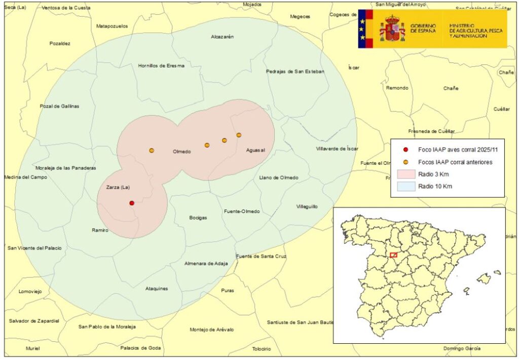 Localización del undécimo foco de IAAP en aves de corral del 13 octubre 2025 en la provincia de Valladolid, detectado en la zona de vigilancia de los anteriores focos.