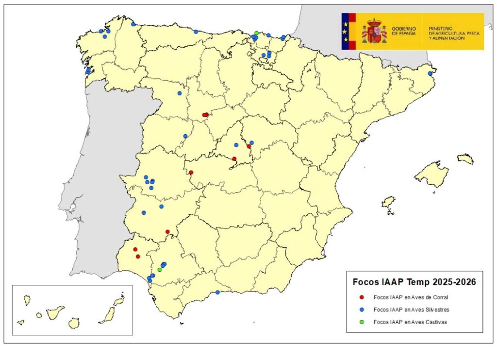 Localización de focos de IAAP en aves silvestres, cautivas y de corral notificados en España (temporada 2025-26). Actualizado por el MAPA el 6 octubre 2025.