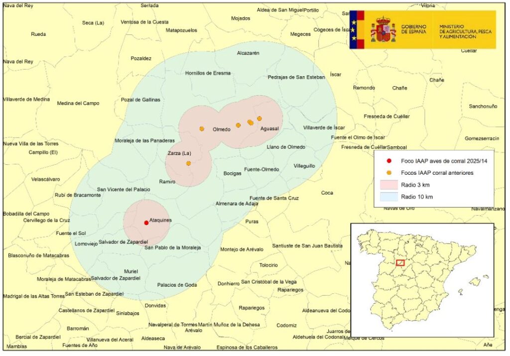 Localización del 14º foco de IAAP en aves de corral de 2025. Este es el primer caso en broilers. La granja afectada, de 54.000 broilers, se encuentra en el municipio de Ataquines (comarca de Medina del Campo, provincia de Valladolid), localizada en el límite del radio de 10 km del foco nº 12 confirmado el 15 de octubre en el municipio de Olmedo (provincia de Valladolid).