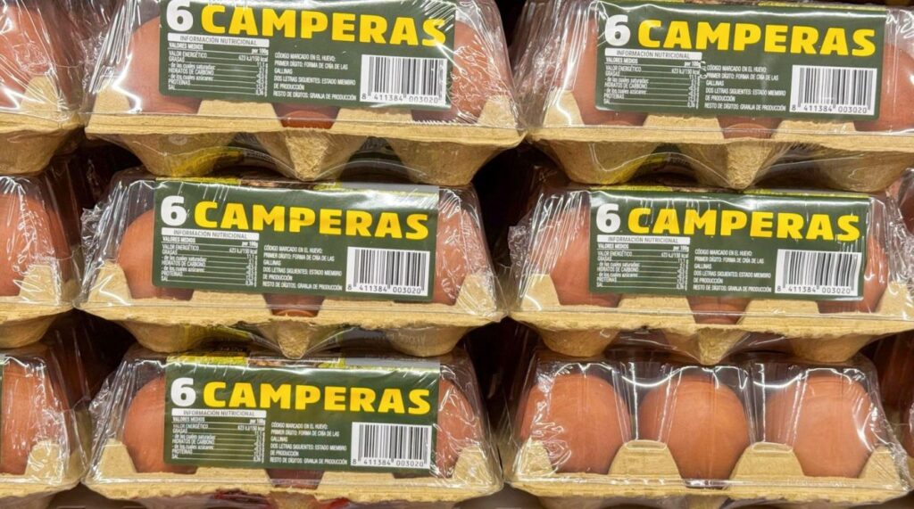 Detalle huevos camperos en un supermercado EFE/Luis Tejido